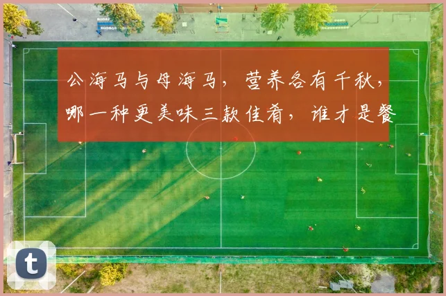 公海马与母海马，营养各有千秋，哪一种更美味三款佳肴，谁才是餐桌宠儿