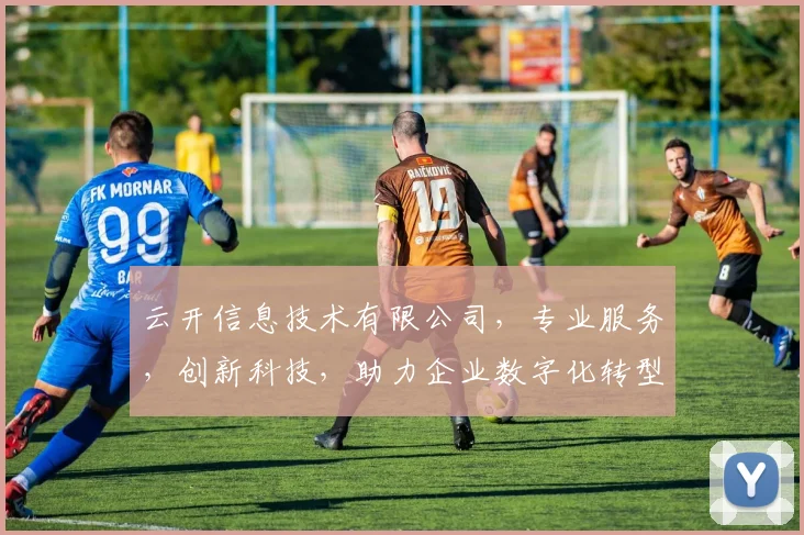 云开信息技术有限公司，专业服务，创新科技，助力企业数字化转型，行业领先