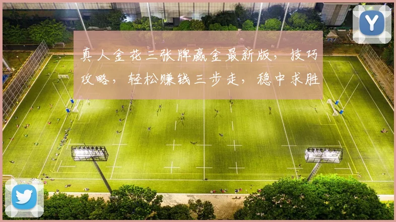真人金花三张牌赢金最新版，技巧攻略，轻松赚钱三步走，稳中求胜