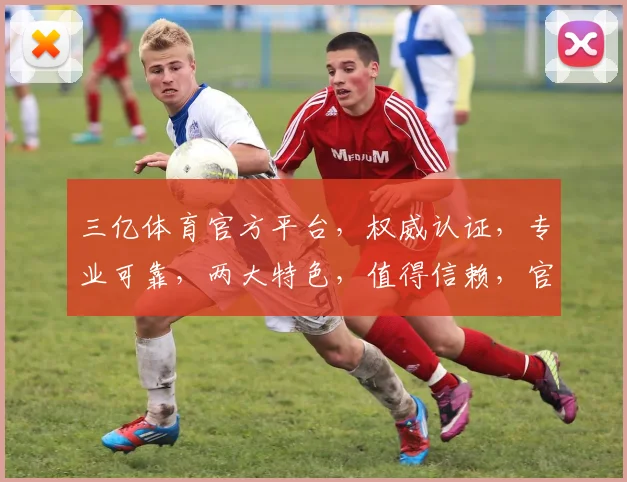 三亿体育官方平台，权威认证，专业可靠，两大特色，值得信赖，官方网址必看